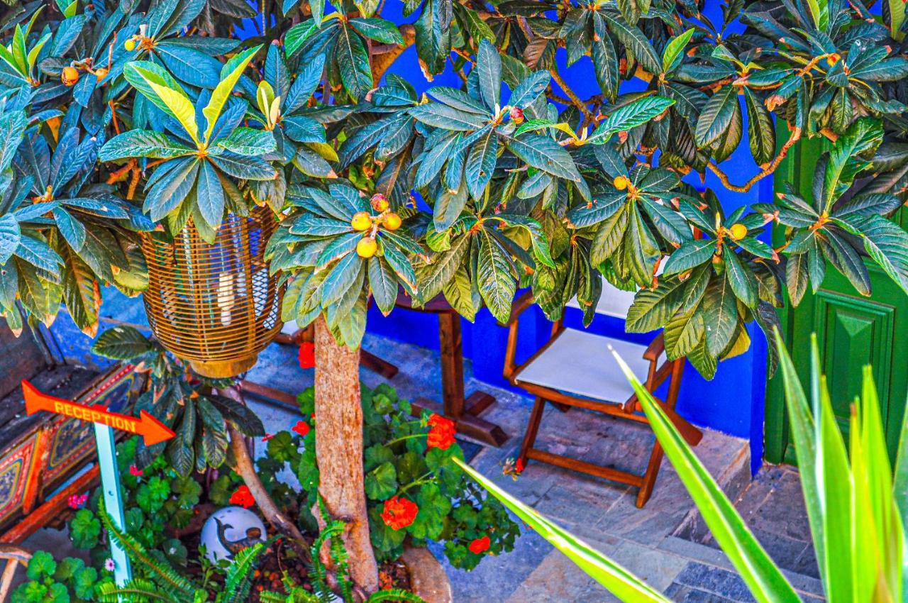 Symi Garden Studios מראה חיצוני תמונה